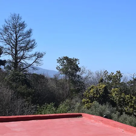 Juli Σάντα Κρουζ Τενερίφης