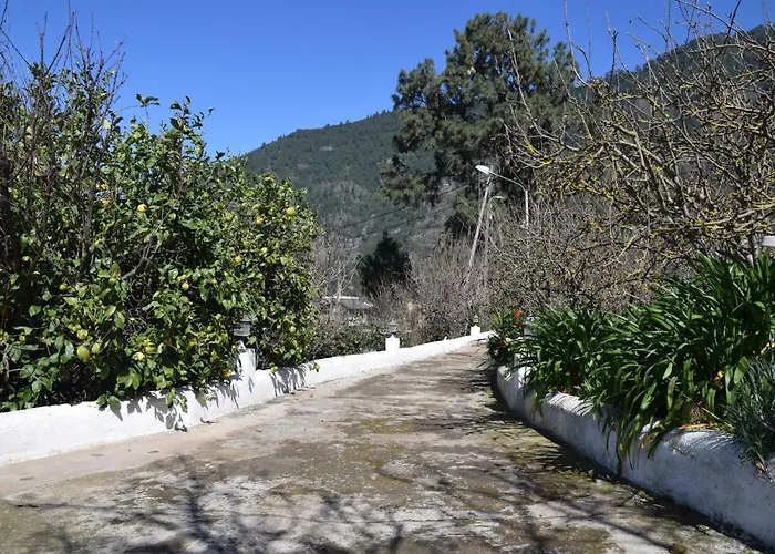 Juli Apartman Santa Cruz de Tenerife